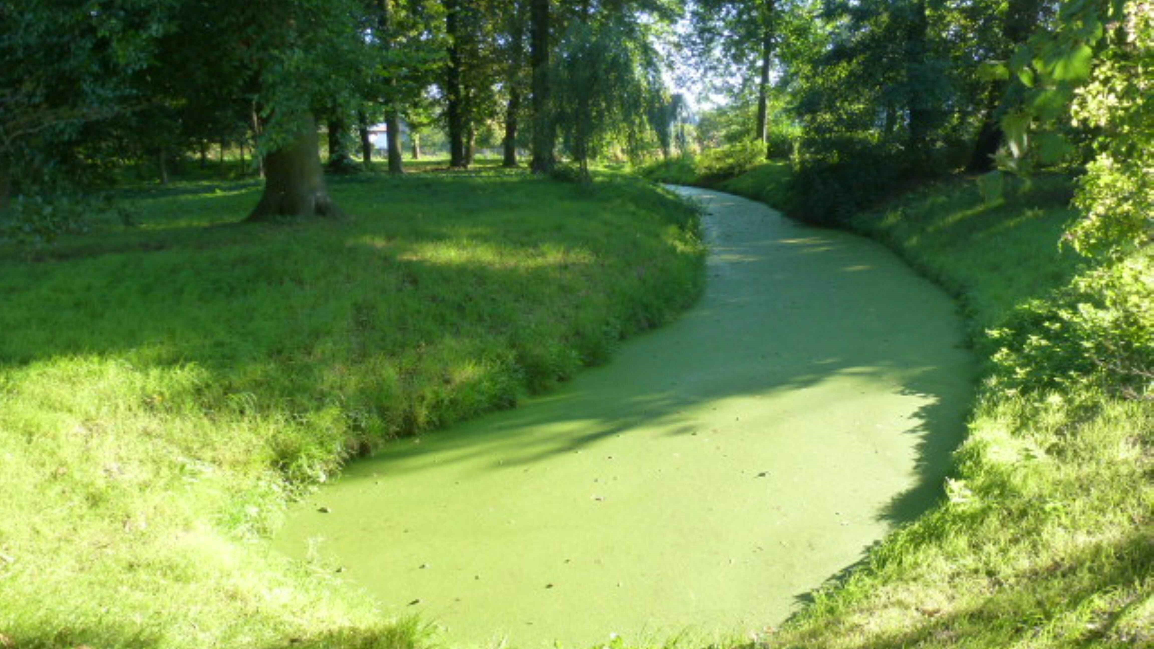 Neuhardenberg castle park