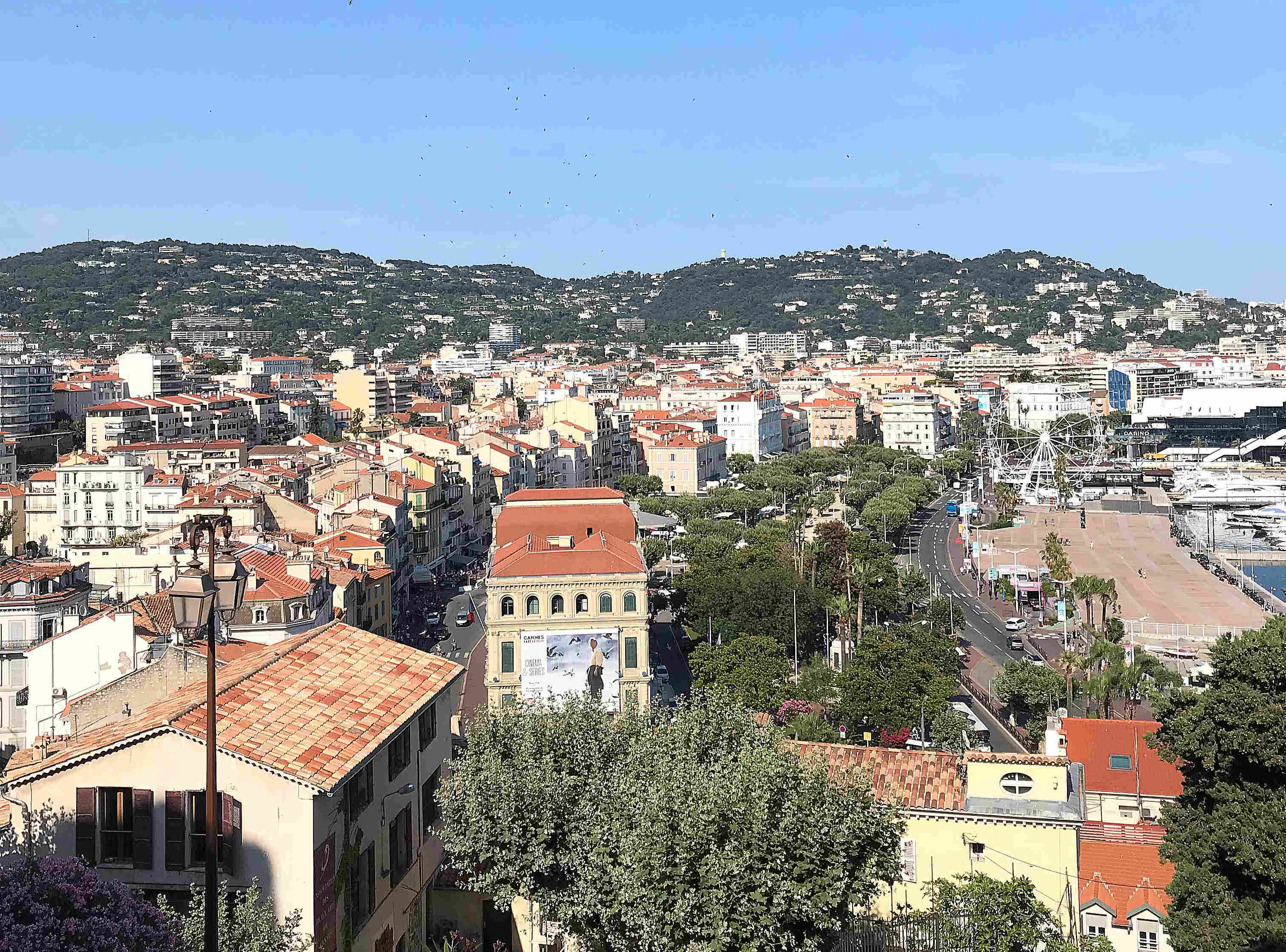Cannes rooftop view