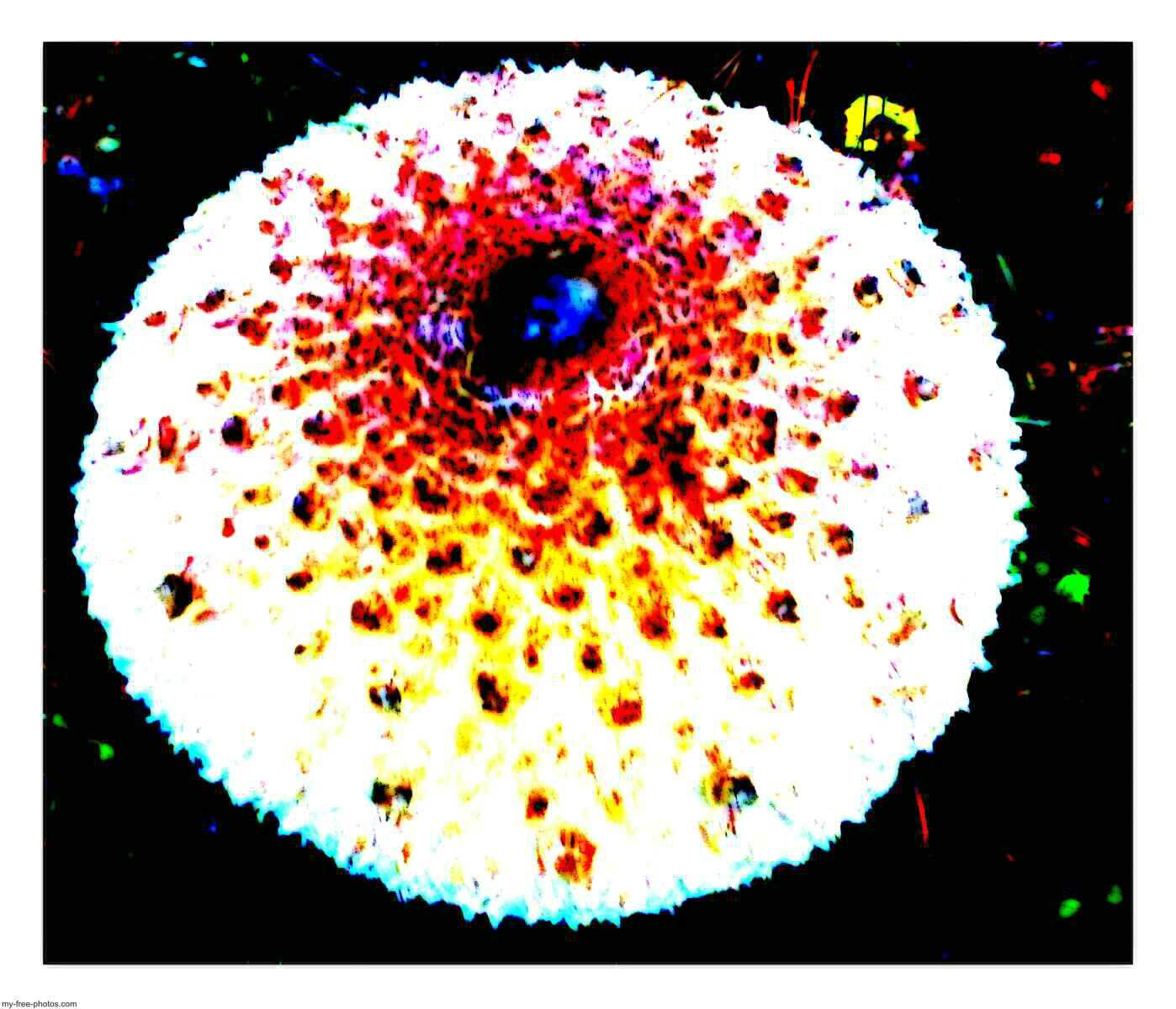 mushroom