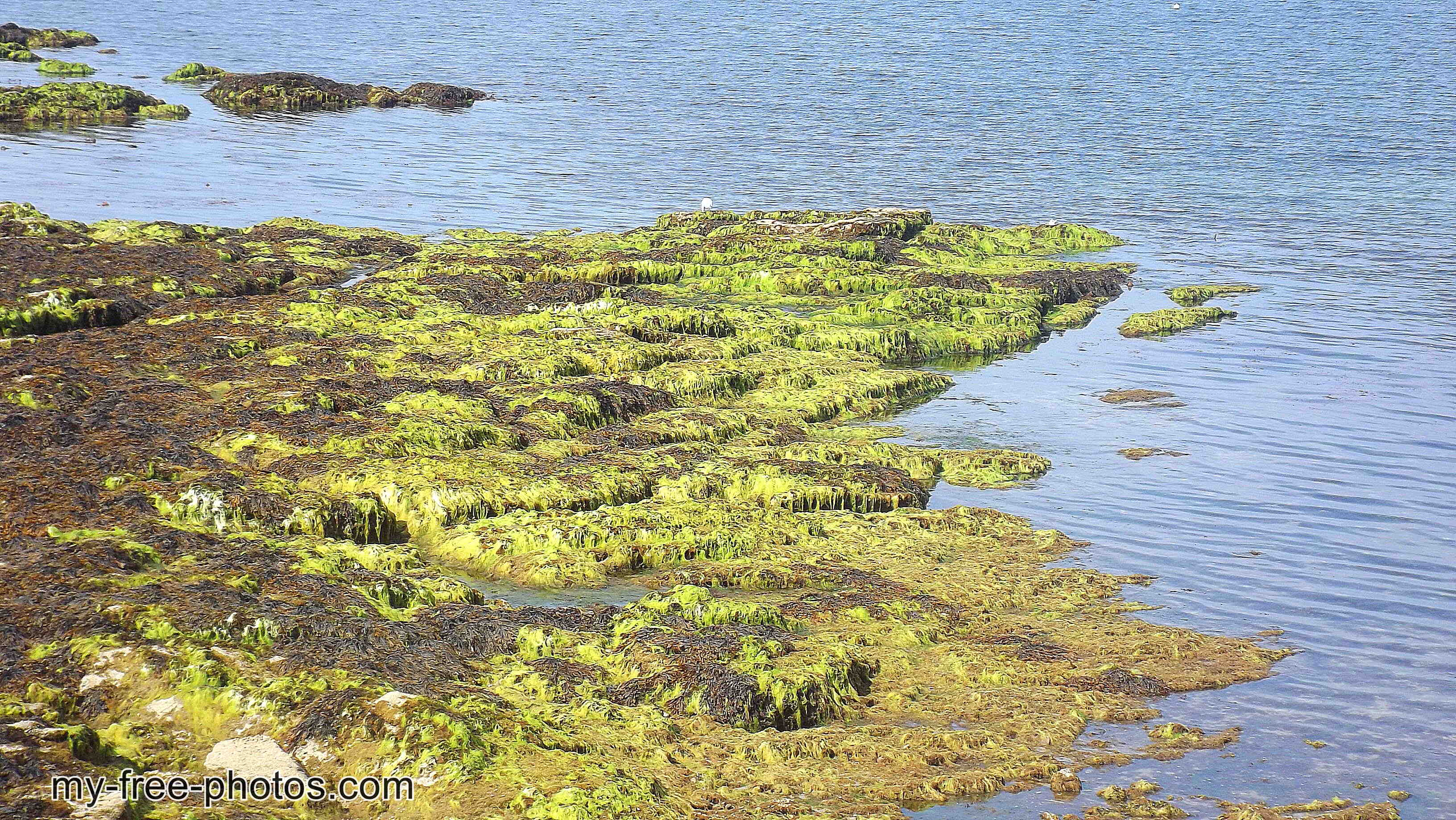 coastline,Quiberon, France.