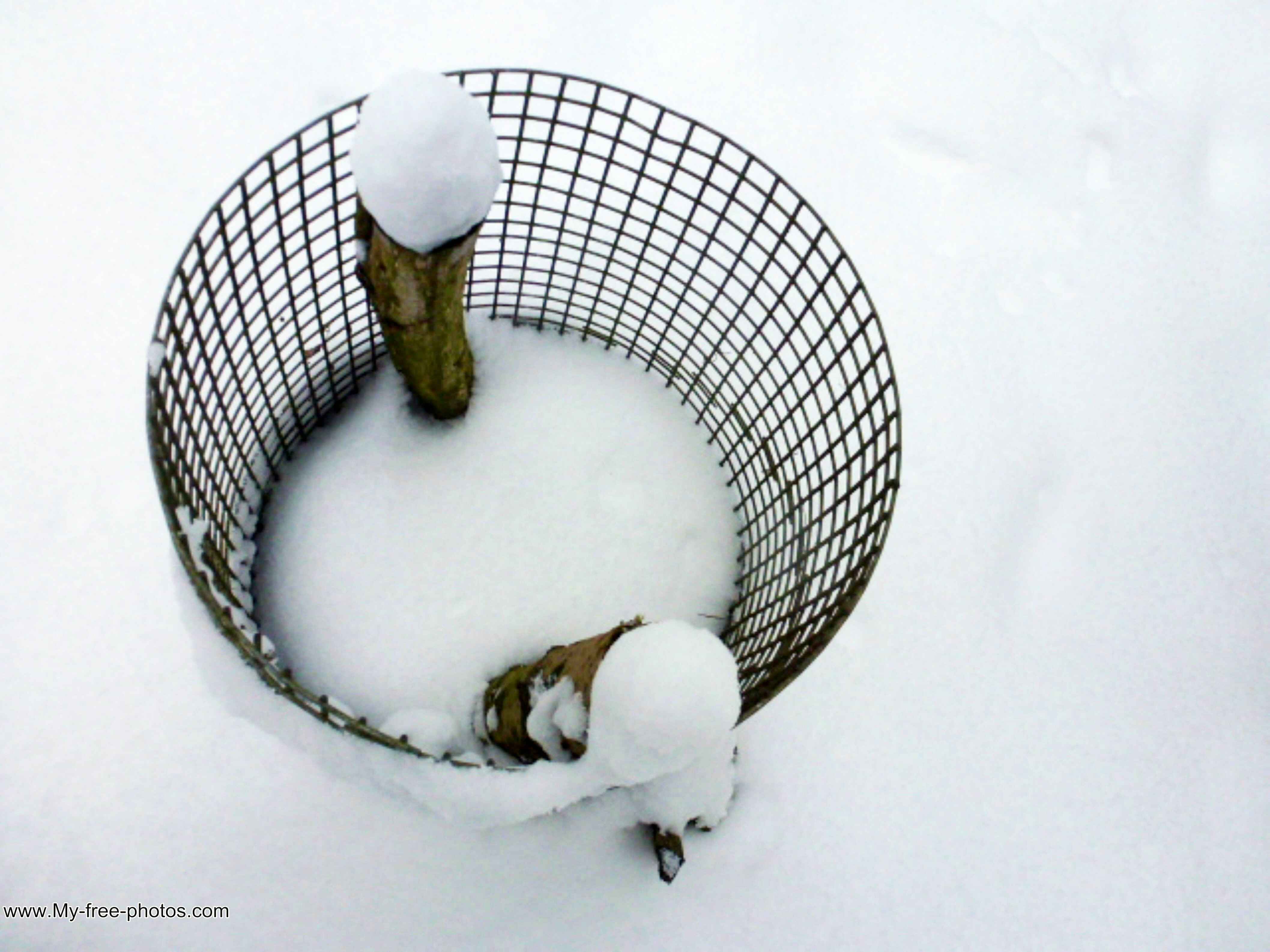 basket in snow
