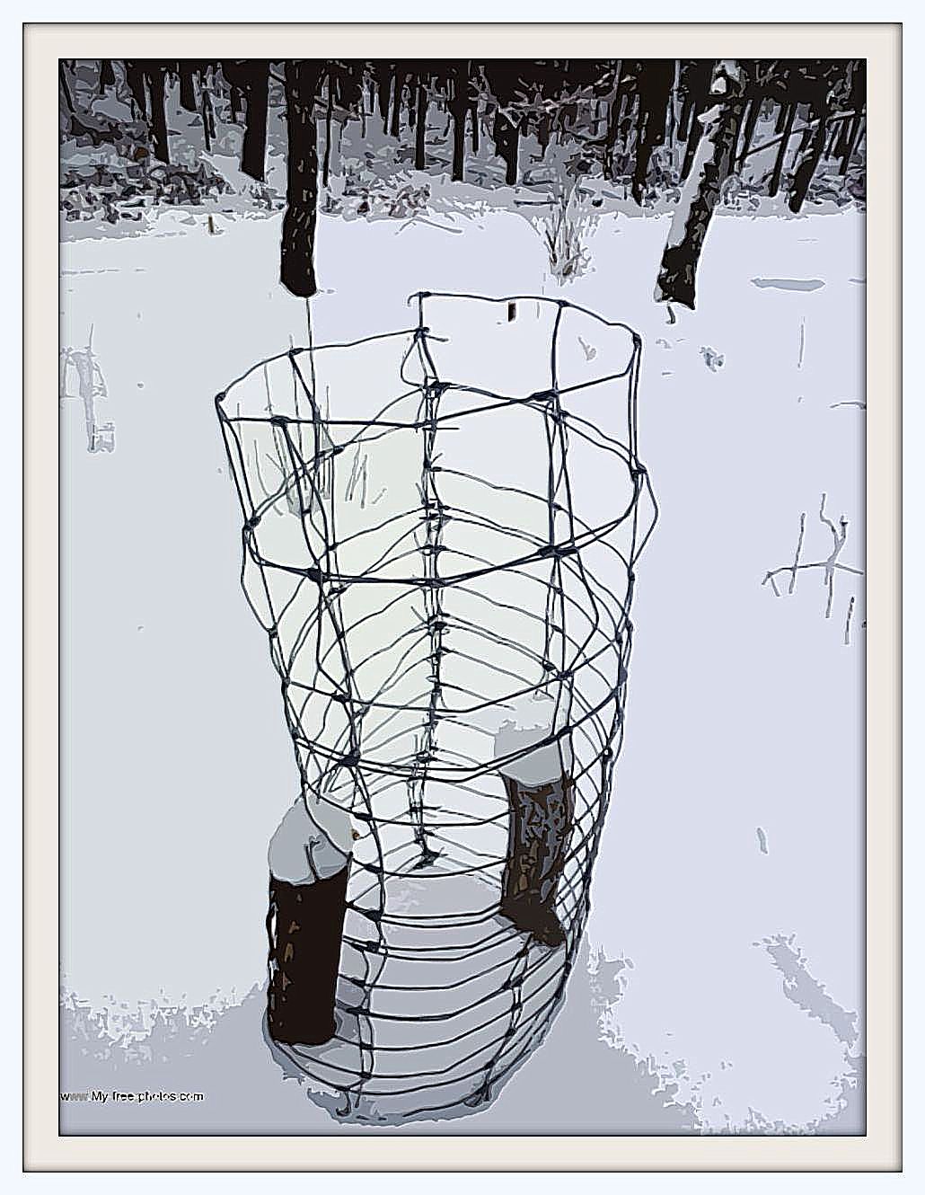 basket in snow